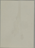 KT 2021 038
<br/>
Zonder titel
<br/>
<em>Kleintjes, Judith Maria (1963)</em>